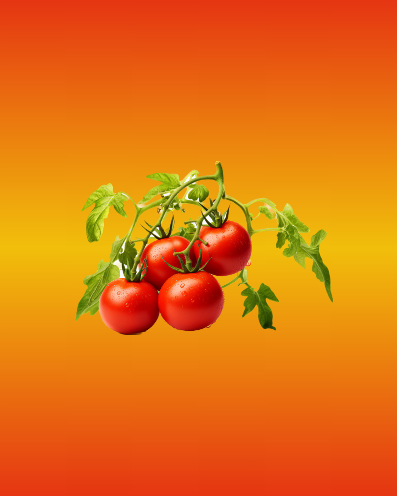 Sebzeler - Luxa Fresh